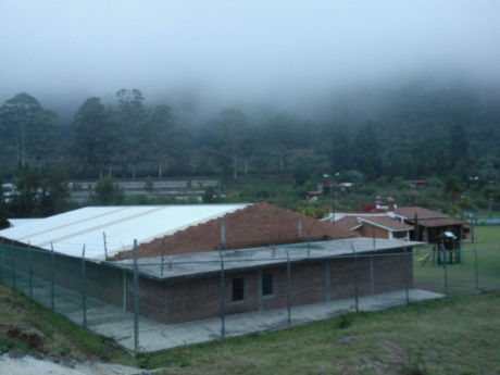 LOS MADRONOS (Triguillos)
