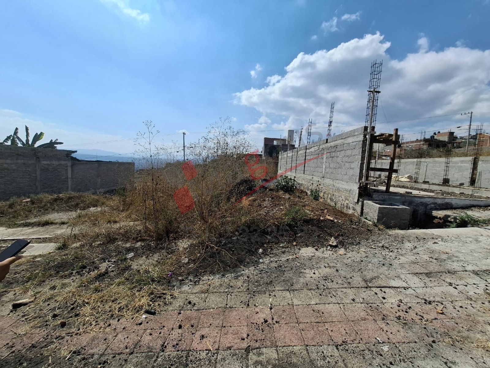 CIUDAD JARDIN
