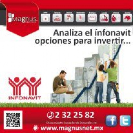 Analiza el Infonavit opciones para invertir