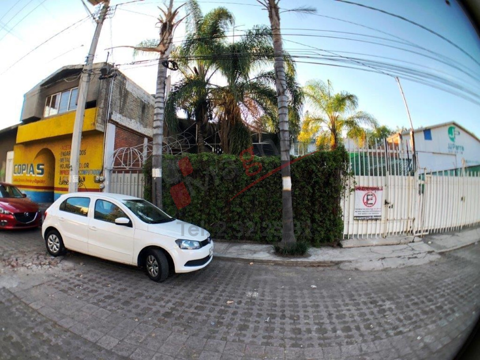 MIGUEL SILVA